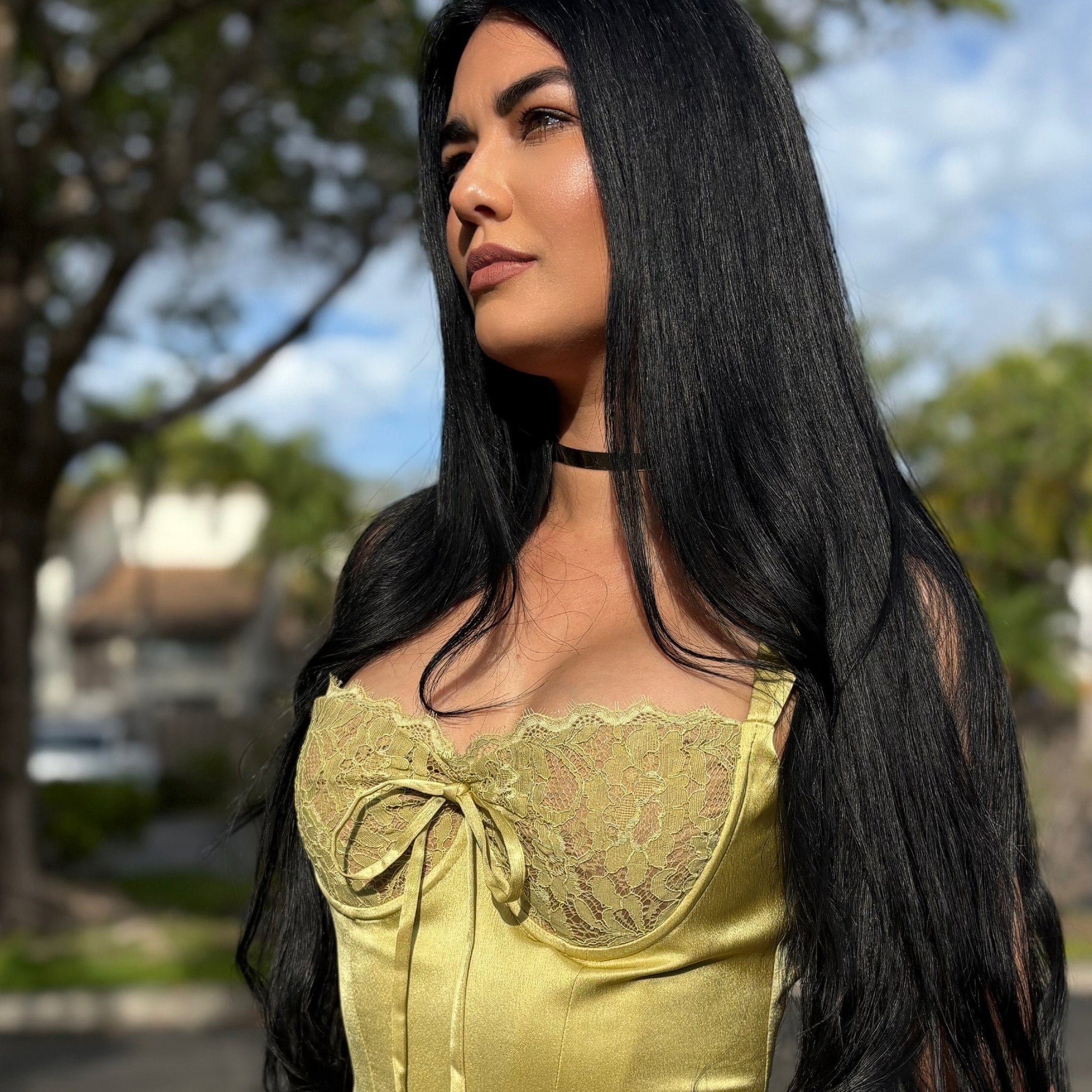 Corset Crop Top
